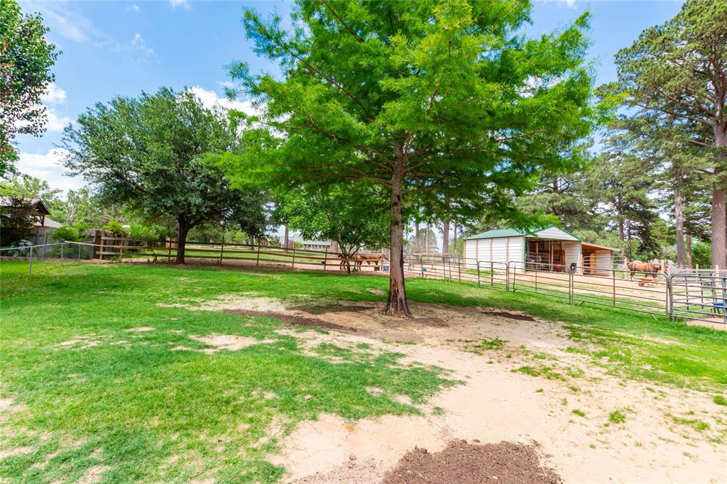 10775 County Road 214 Property Photo 34