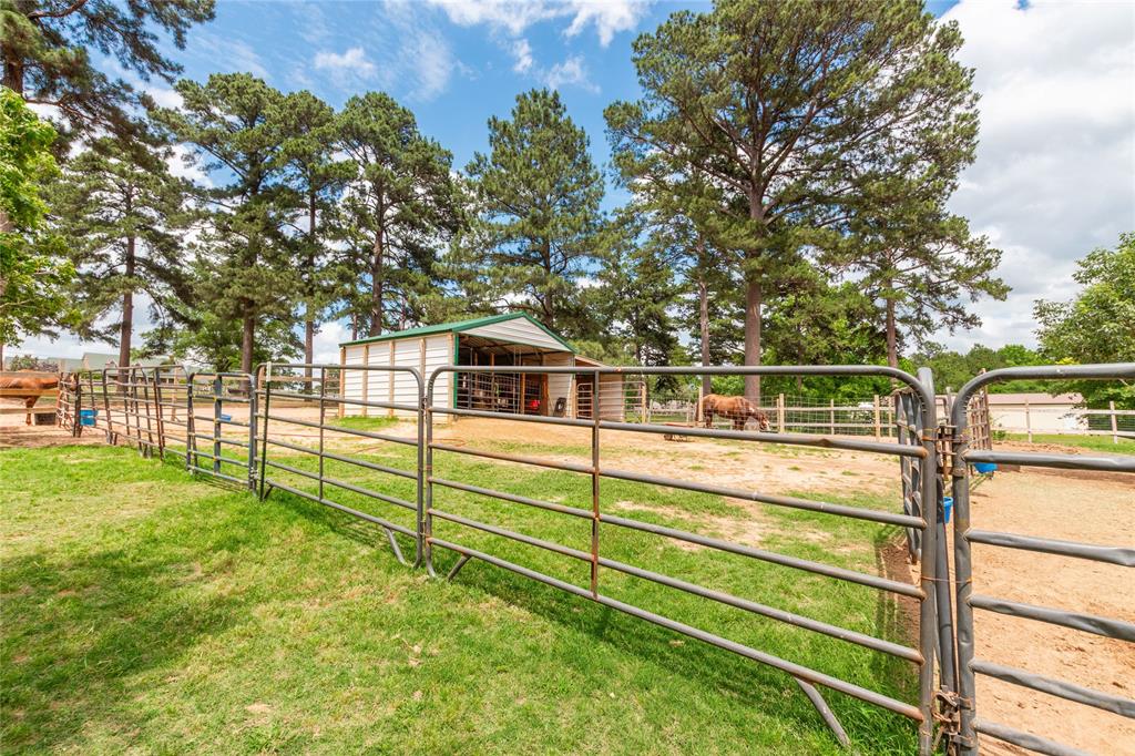 10775 County Road 214 Property Photo 36