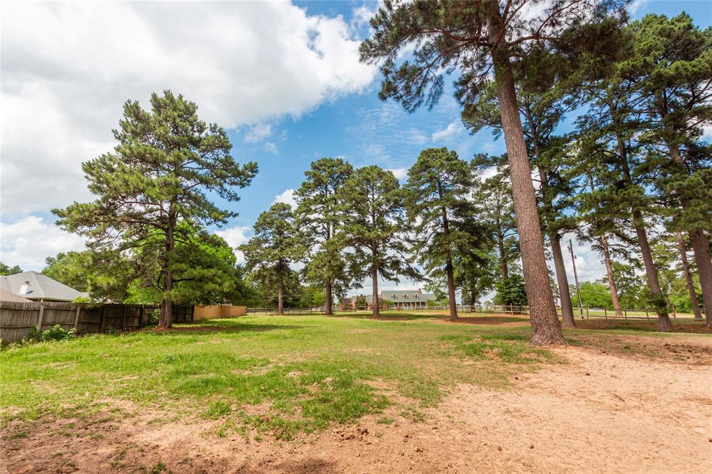 10775 County Road 214 Property Photo 37