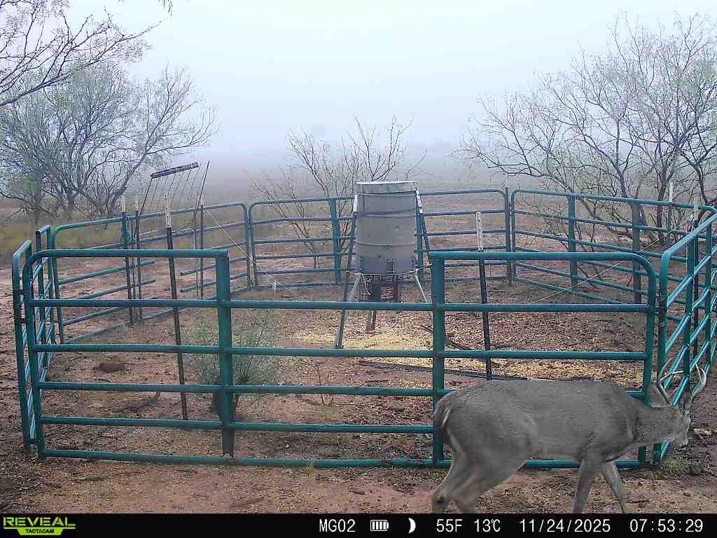 600 Fm 600 Property Photo 4