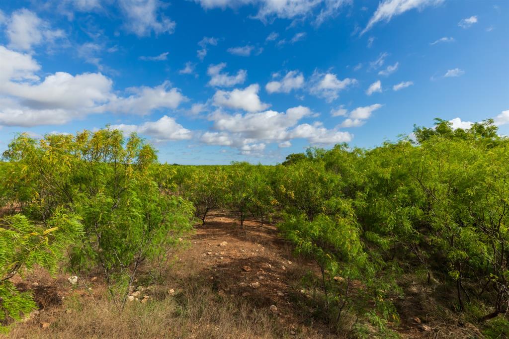 600 Fm 600 Property Photo 27