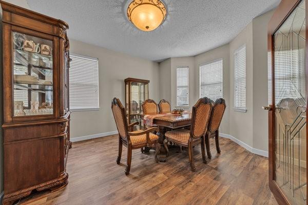 4024 Busch Gardens Drive Property Photo 15