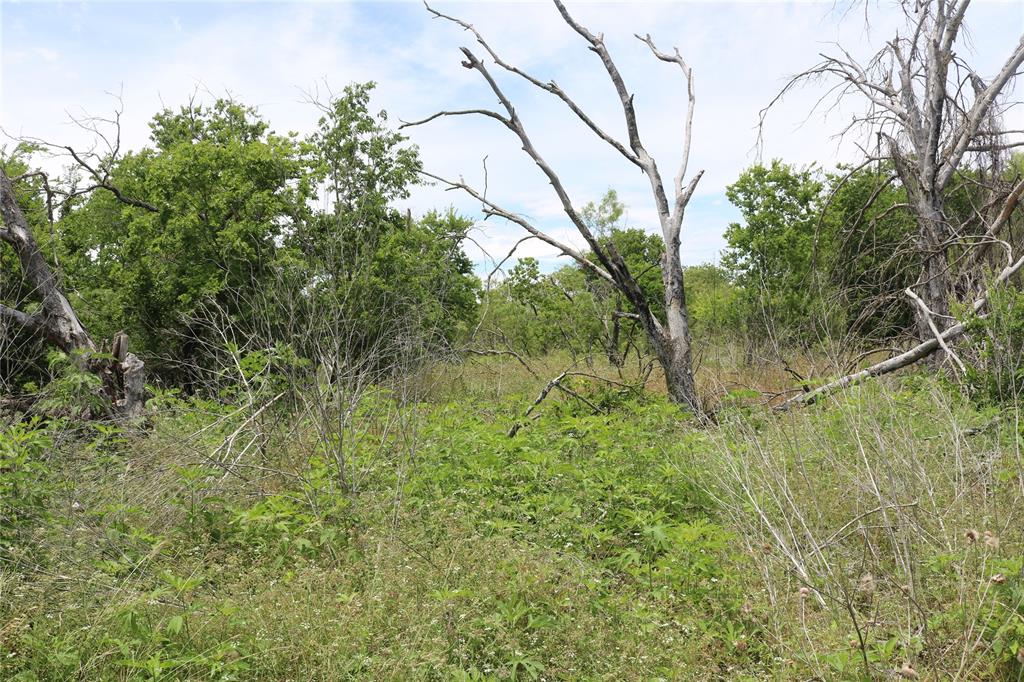 000 State Highway 6 Property Photo 5
