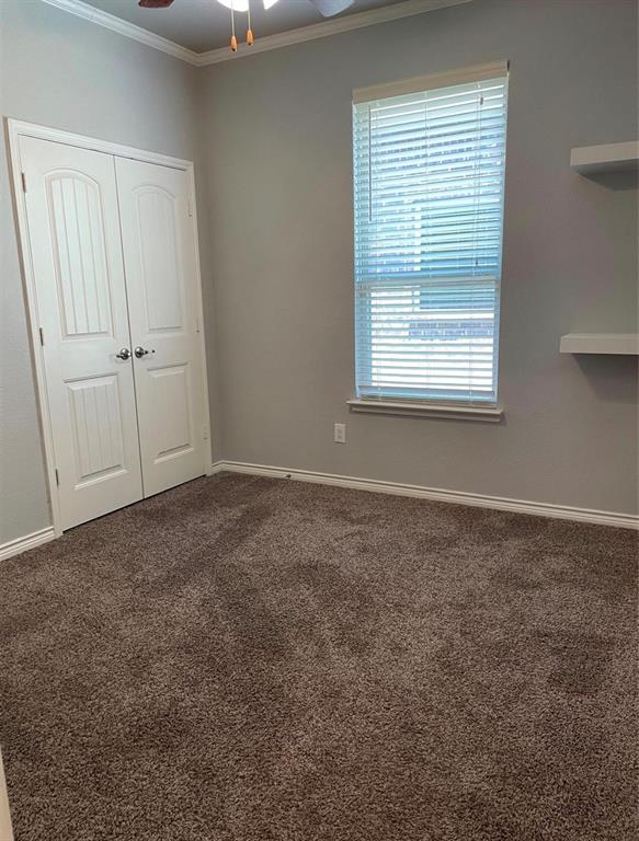 5244 Canfield Property Photo 12