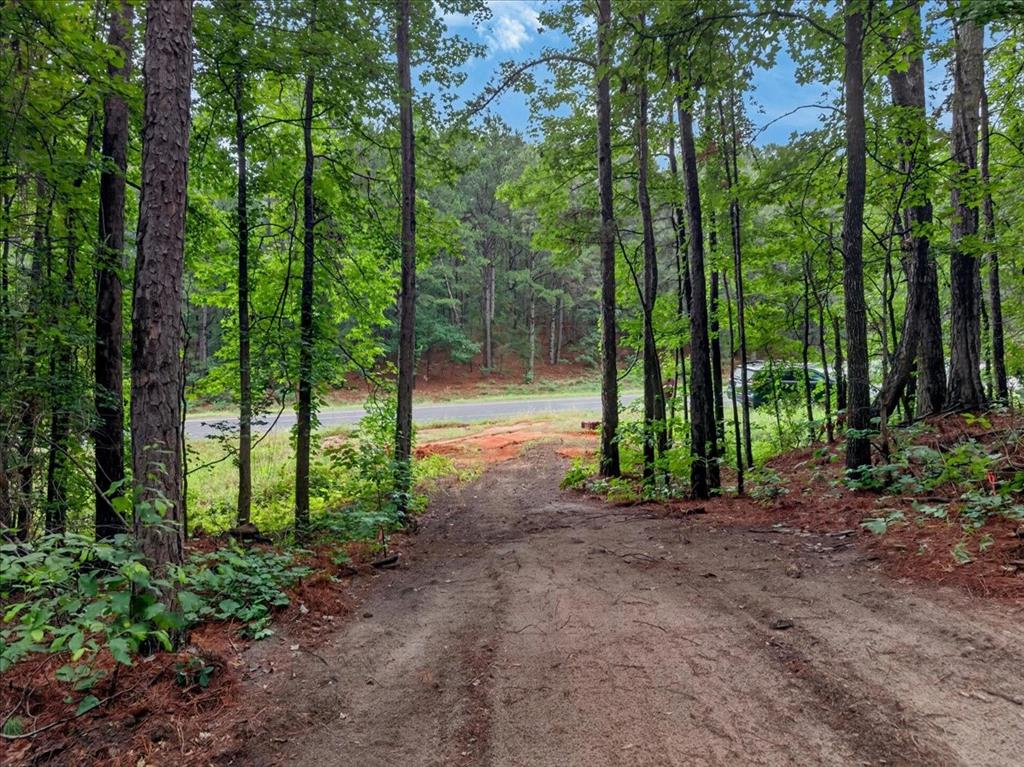 Tract 53.1 Hwy 31 Property Photo 1