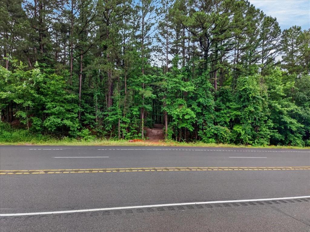 Tract 53.1 Hwy 31 Property Photo 2