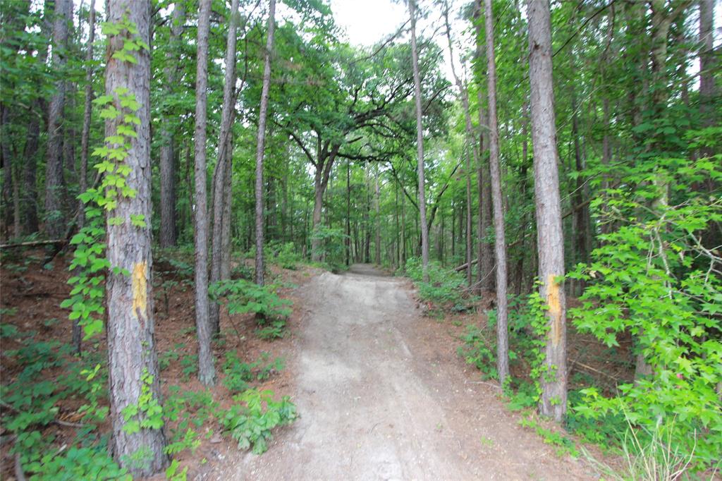 Tract 53.1 Hwy 31 Property Photo 4