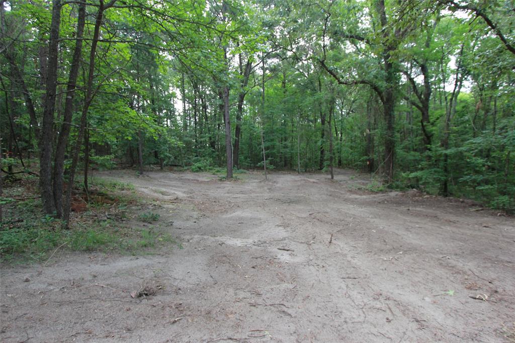 Tract 53.1 Hwy 31 Property Photo 6