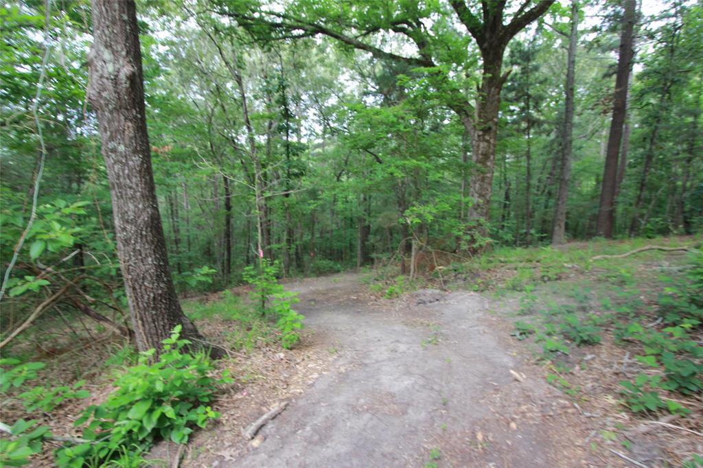 Tract 53.1 Hwy 31 Property Photo 7
