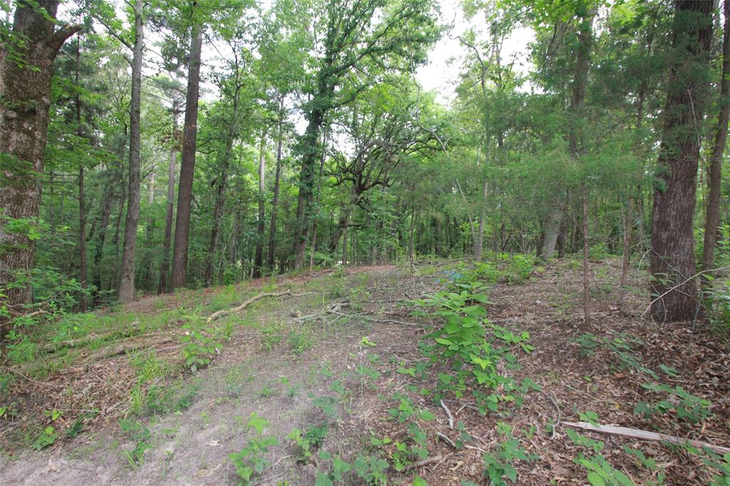Tract 53.1 Hwy 31 Property Photo 8
