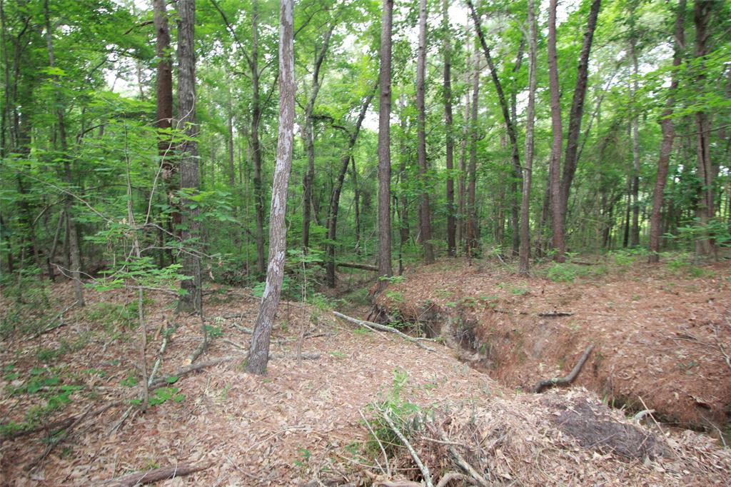 Tract 53.1 Hwy 31 Property Photo 10