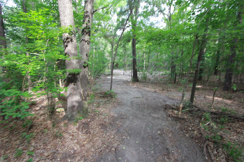 Tract 53.1 Hwy 31 Property Photo 12