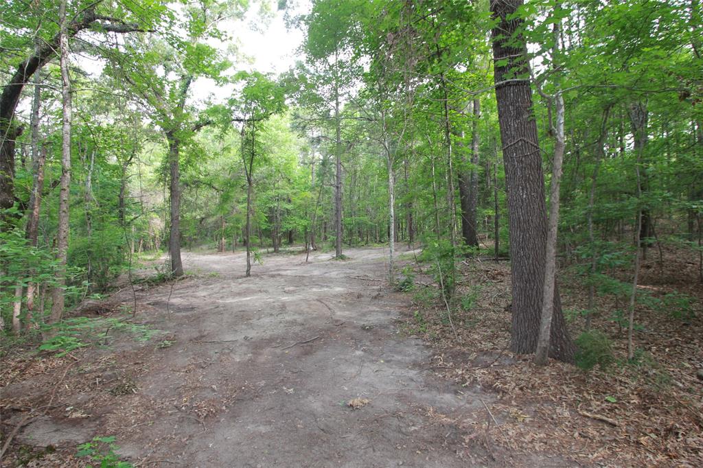 Tract 53.1 Hwy 31 Property Photo 13