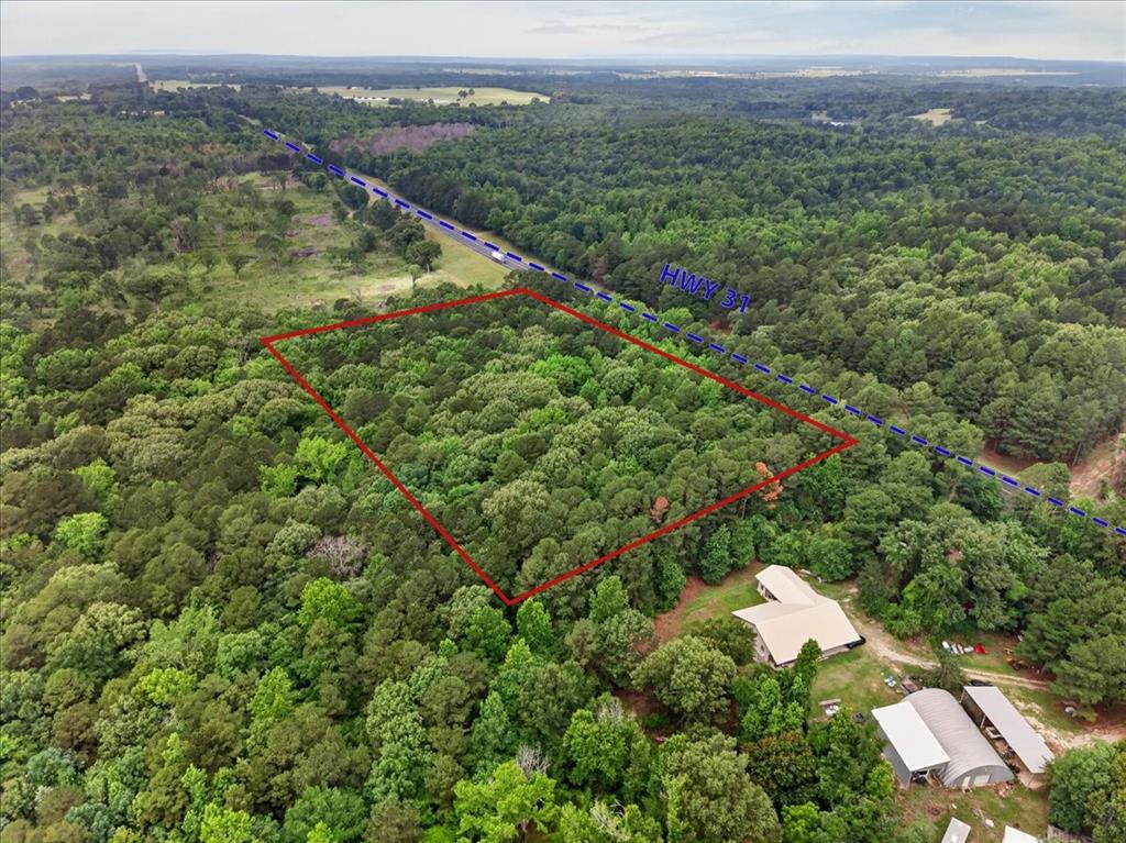 Tract 53.1 Hwy 31 Property Photo 22