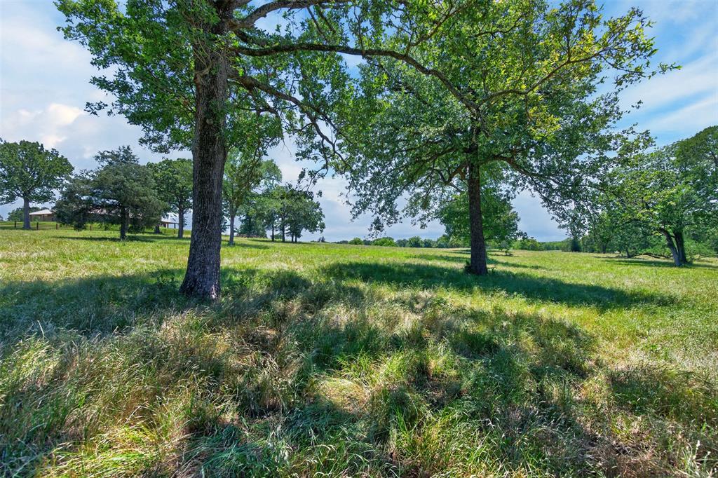 1053 Acr 499 Property Photo 13