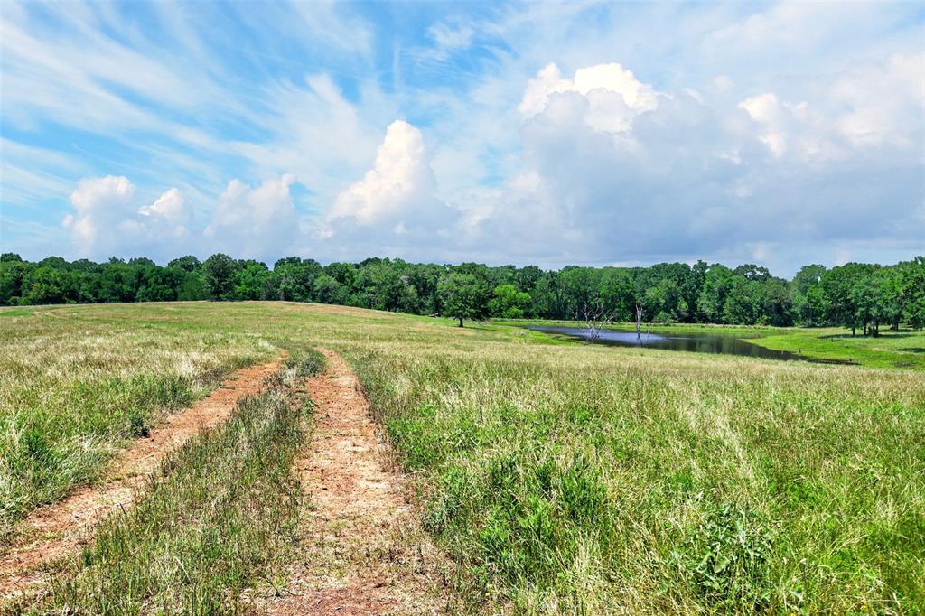 1053 Acr 499 Property Photo 16