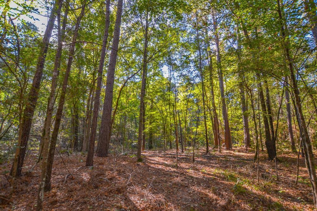 7821 Cr-3409 Property Photo 3
