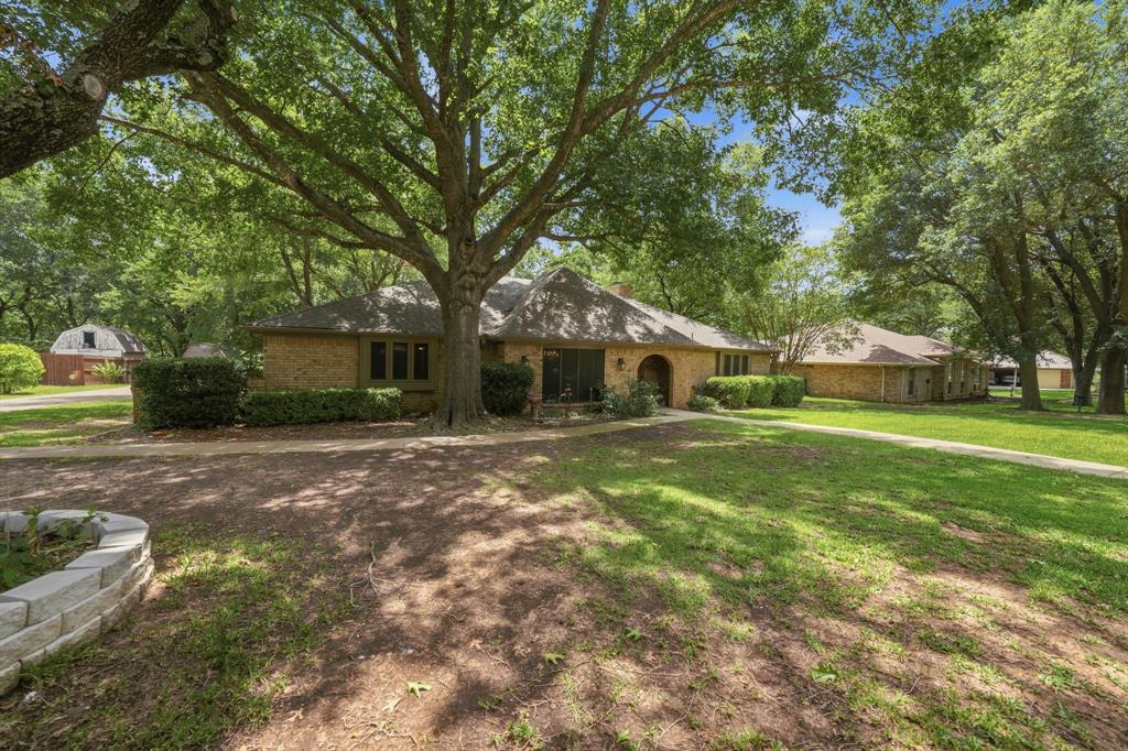 12008 Saddlehorn Lane Property Photo 4