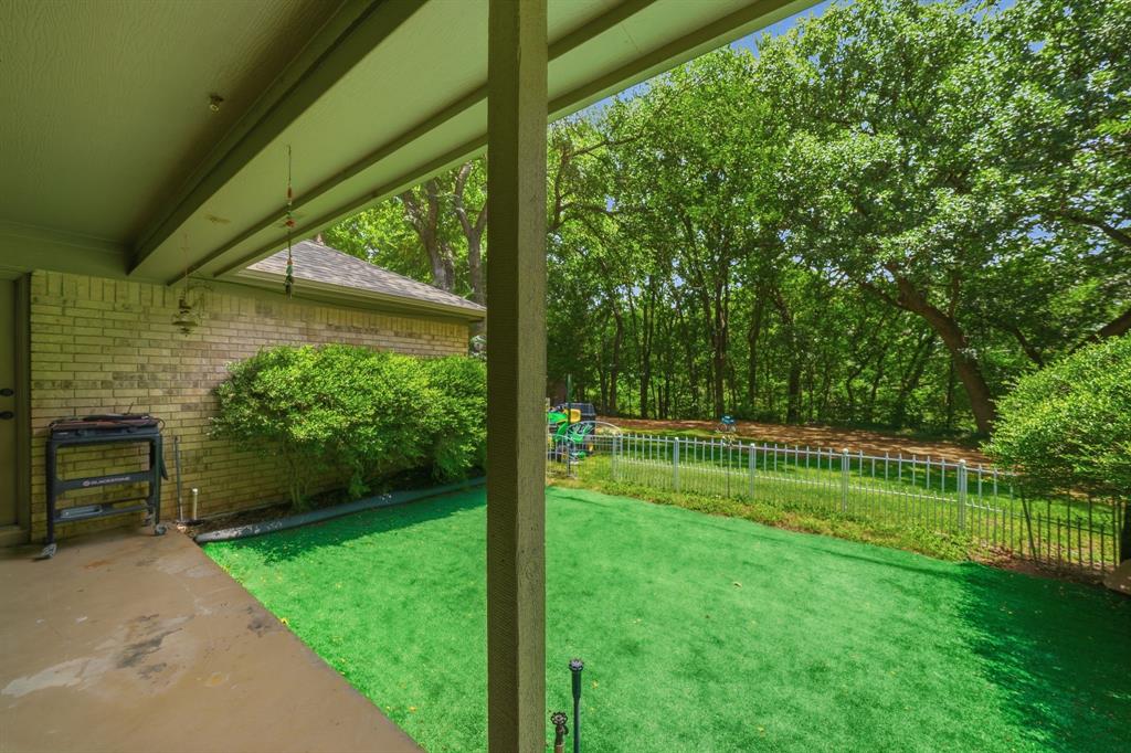 12008 Saddlehorn Lane Property Photo 28