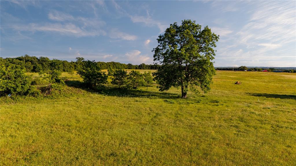 Tbd Fm 920 Property Photo 14