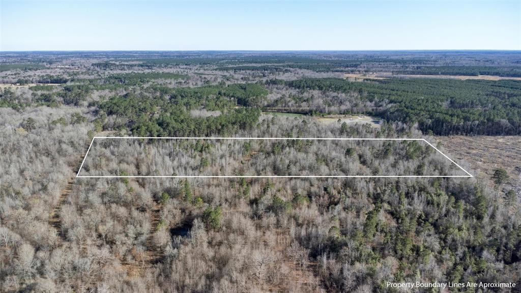 Tr5 18.27 Acres County Rd 3071 Property Photo 6