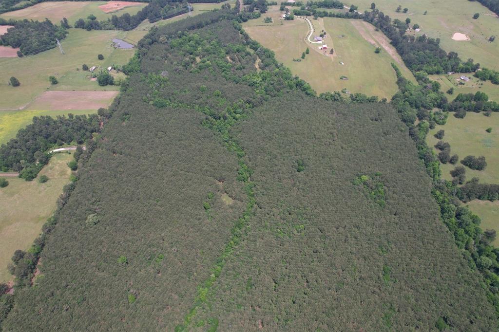 Tbd-a County Road 3163 Property Photo 6