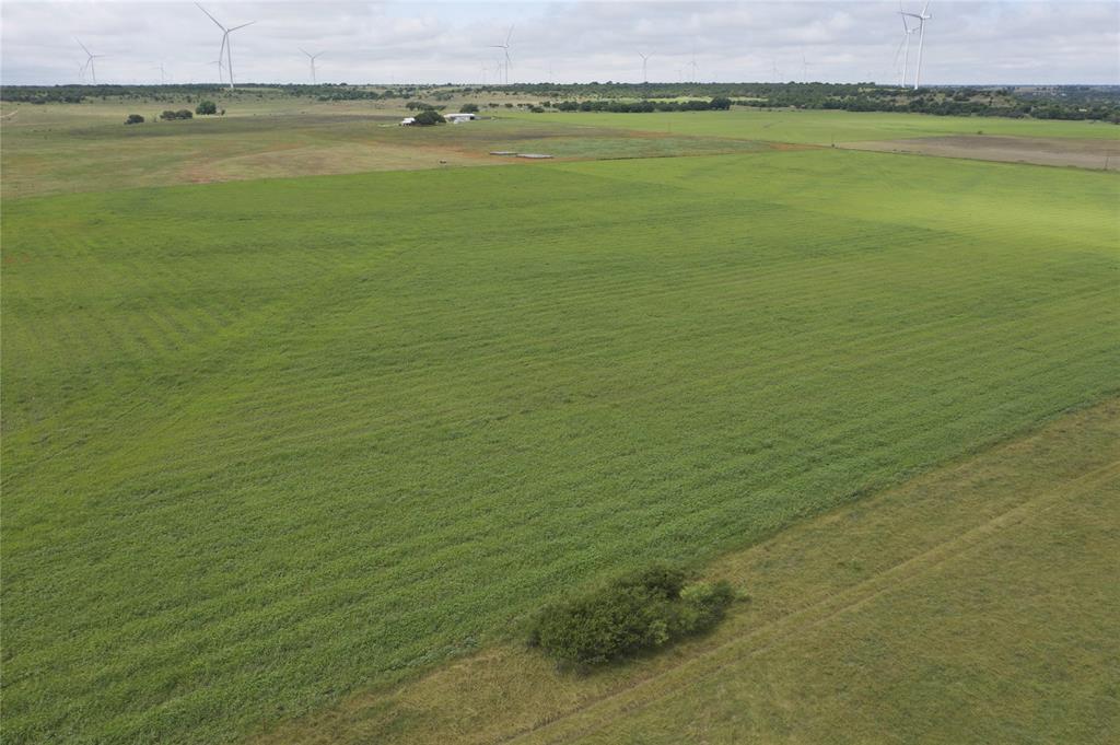 Tbd Cr 265 Property Photo 1