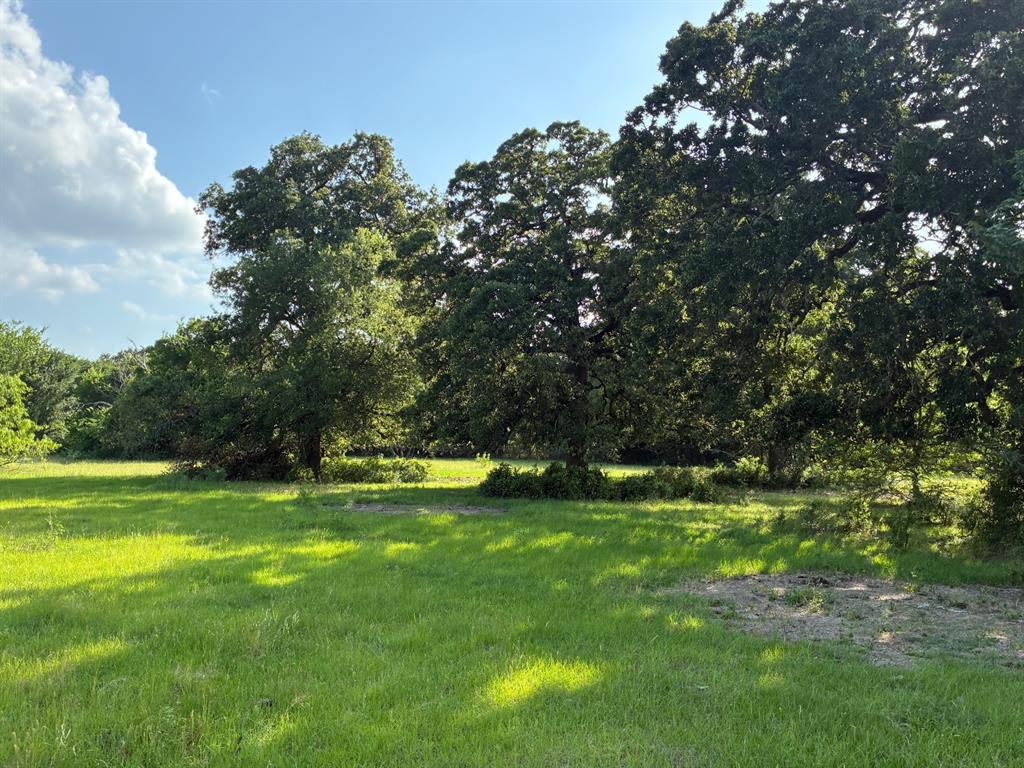 Tbd County Road 1128 Property Photo 1