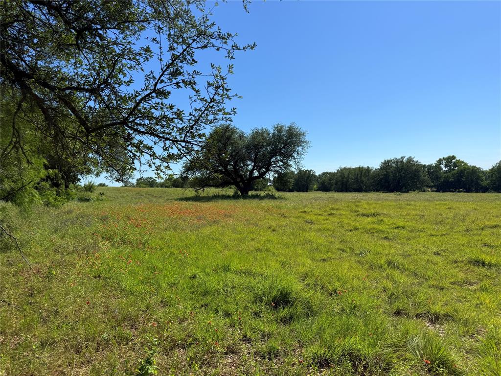 913 N Rice Property Photo 15