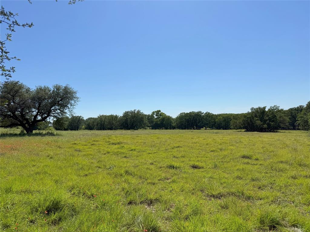 913 N Rice Property Photo 16