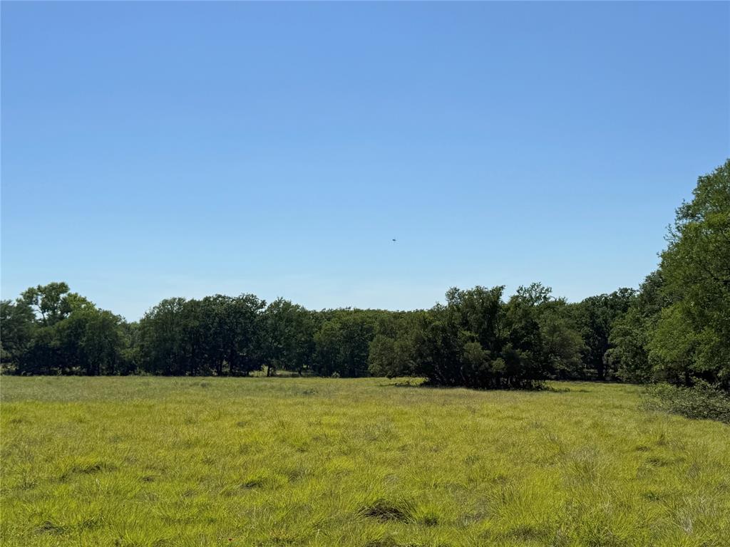 913 N Rice Property Photo 17