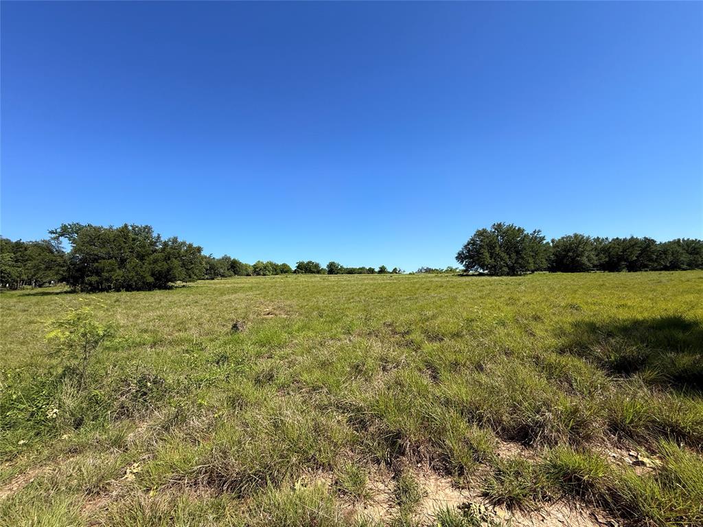 913 N Rice Property Photo 18
