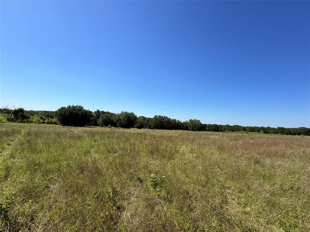 913 N Rice Property Photo 21