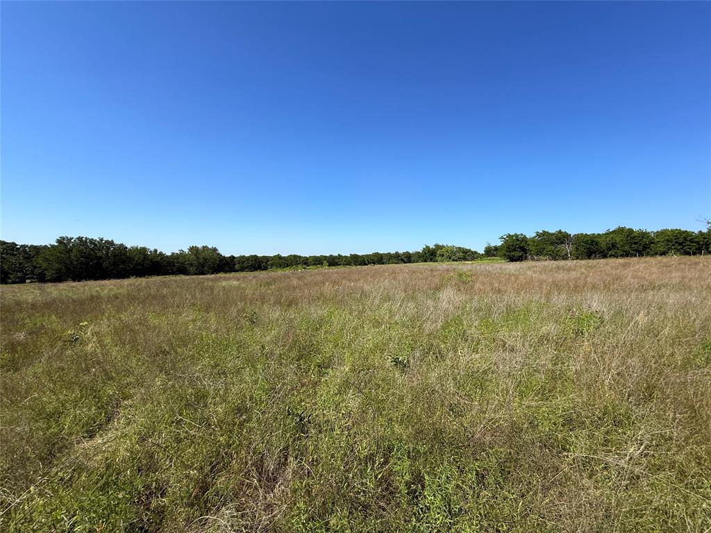 913 N Rice Property Photo 24