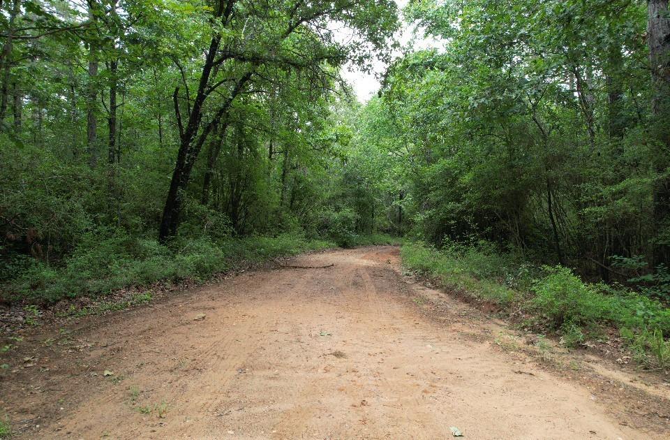 Tbd County Road 4679 Property Photo 1