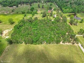 0 Palomino Drive Property Photo 6