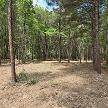 0 Palomino Drive Property Photo 12