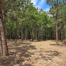 0 Palomino Drive Property Photo 13