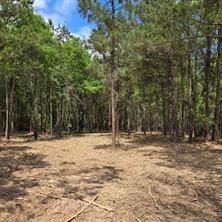 0 Palomino Drive Property Photo 14