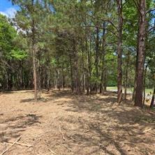0 Palomino Drive Property Photo 15