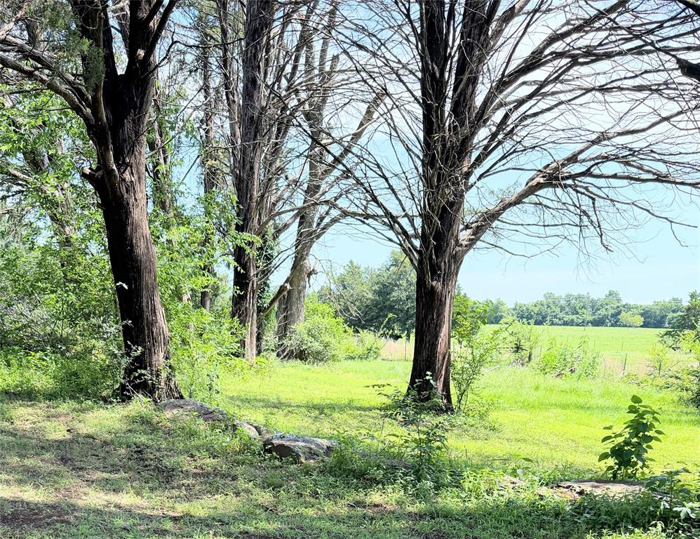 3 Acres Lcr 864 Property Photo 3