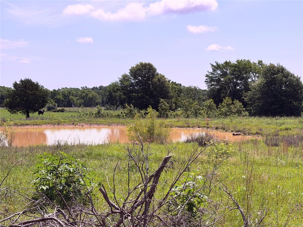 3 Acres Lcr 864 Property Photo 5
