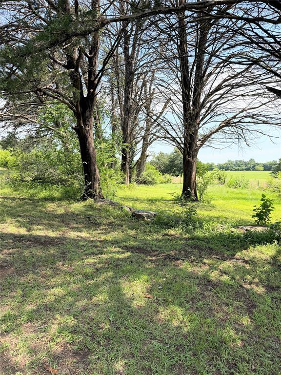 3 Acres Lcr 864 Property Photo 7