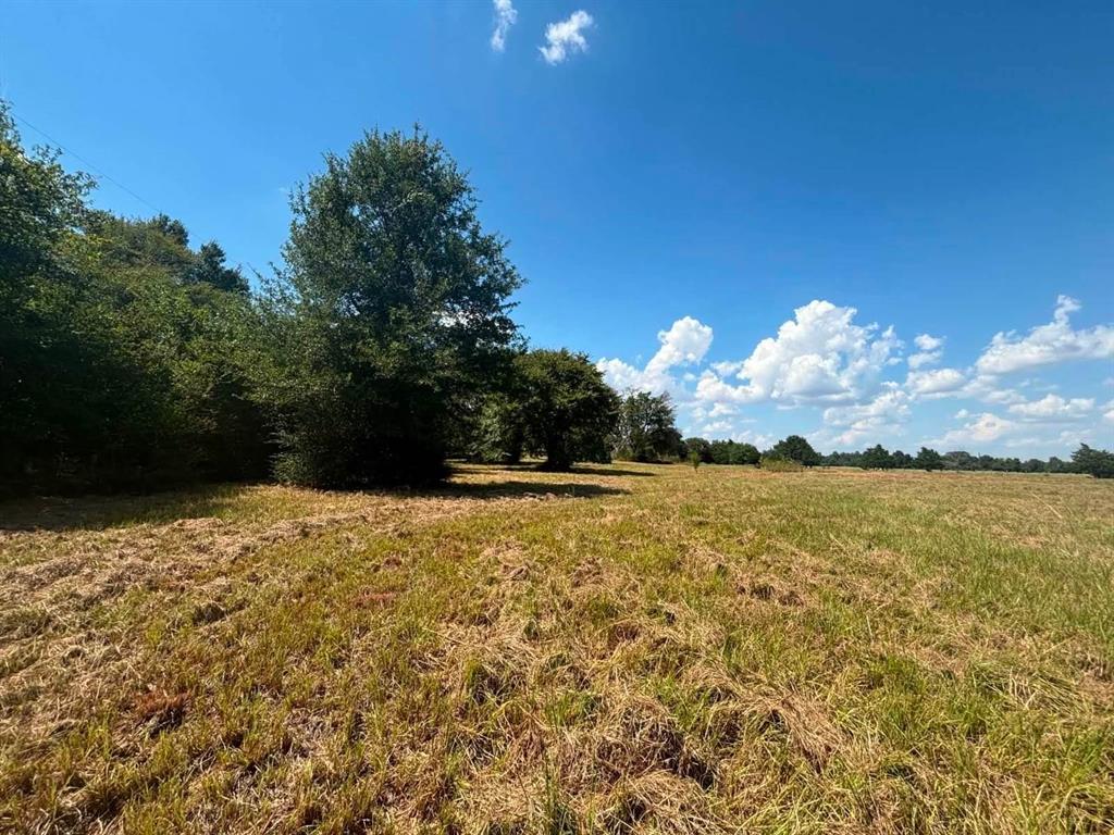 3 Acres Lcr 864 Property Photo 10