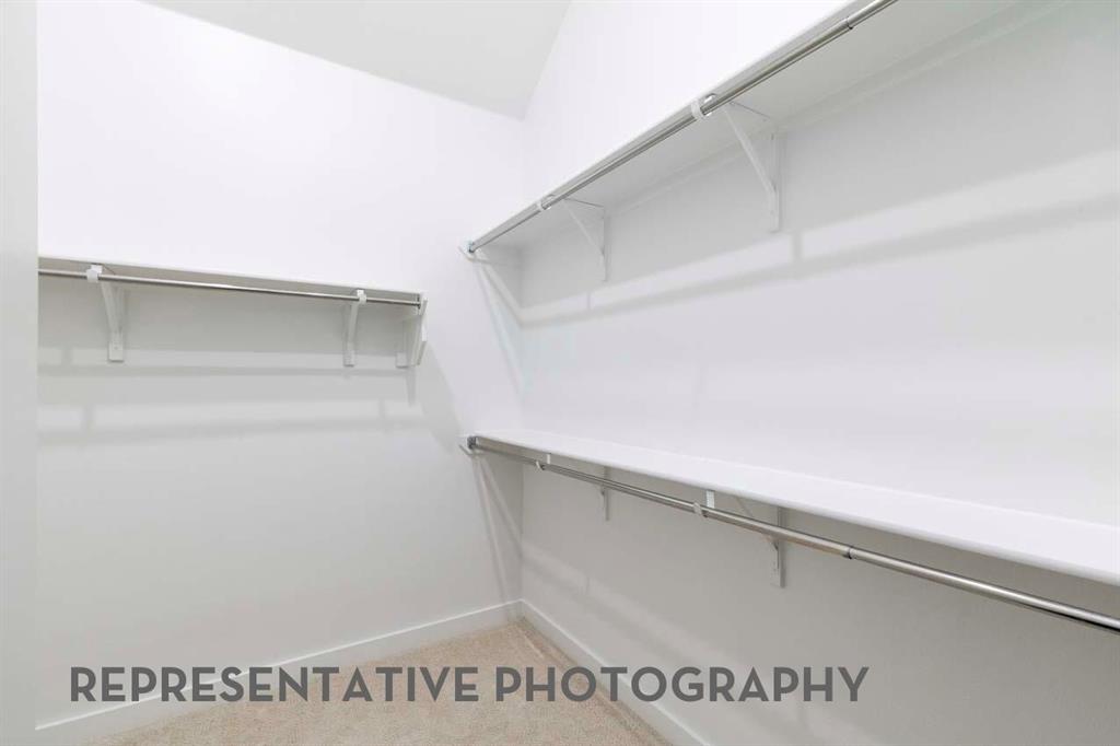 8545 Texas Ash Drive Property Photo 10