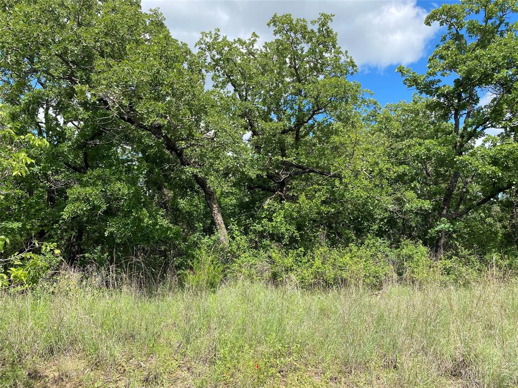 106 Hondo Drive Property Photo 3