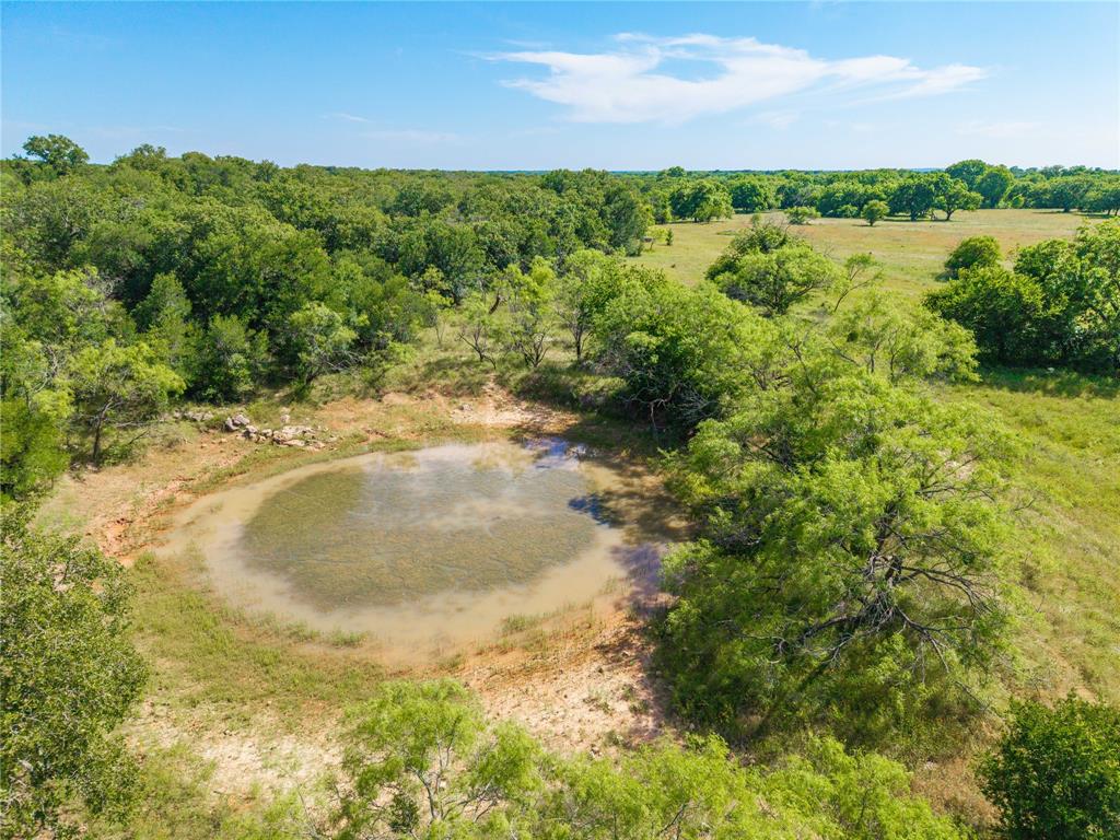 92.195 Acres Tbd County Road 434 Property Photo 10