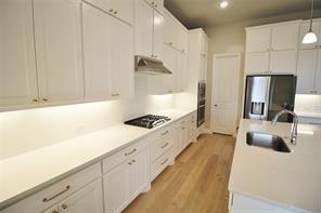 1523 Wild Indigo Drive Property Photo 22