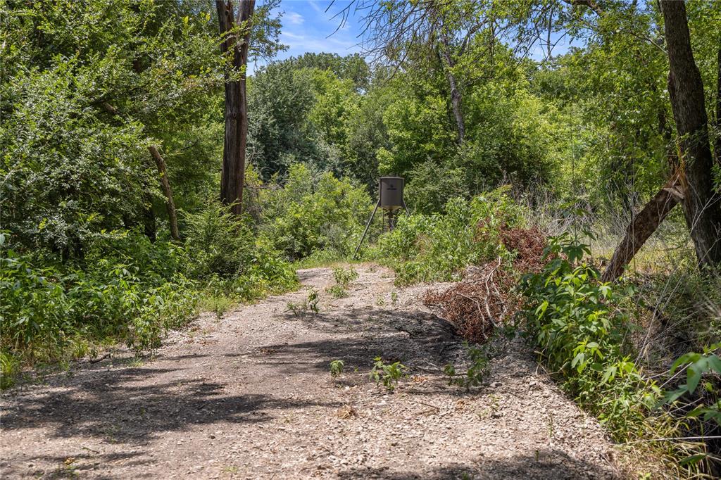 Tbd Highway 274 Property Photo 13