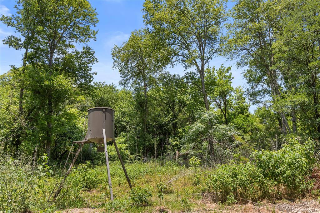 Tbd Highway 274 Property Photo 14